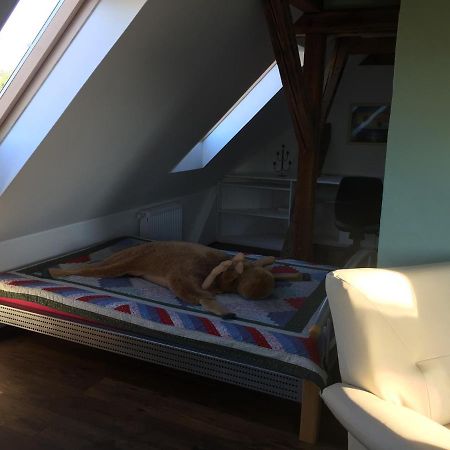 Ferienwohnung Schulze Freital Exterior foto